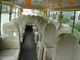 Safetly Diesel Star Autobusy turystyczne Trwały 30 samochodów osobowych z manualną skrzynią biegów dostawca